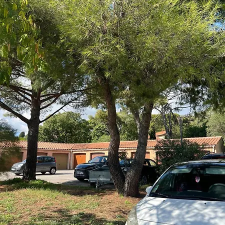 Parking Gratuit , 3 Ch Central Et Clim * Toulon